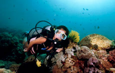 diving image